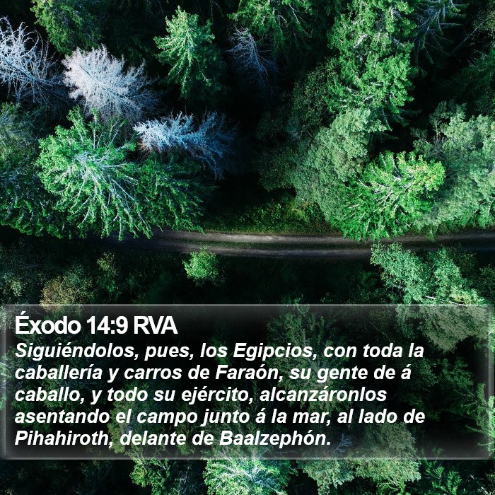 Éxodo 14:9 RVA Bible Study