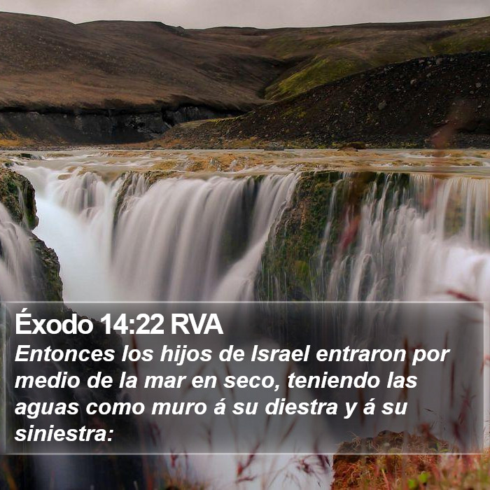 Éxodo 14:22 RVA Bible Study