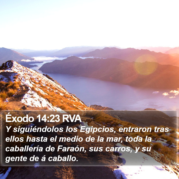 Éxodo 14:23 RVA Bible Study