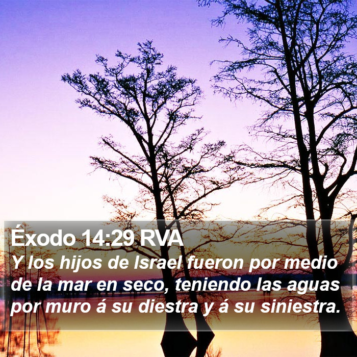 Éxodo 14:29 RVA Bible Study