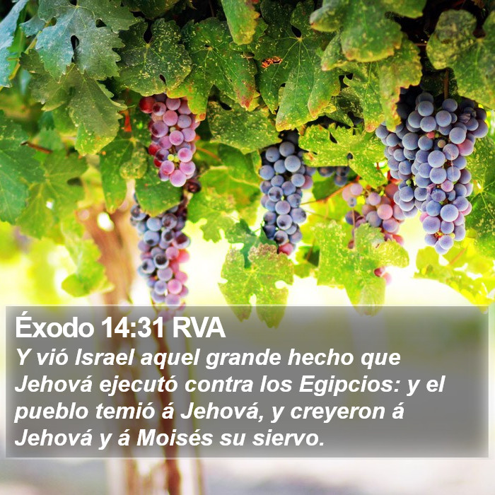 Éxodo 14:31 RVA Bible Study