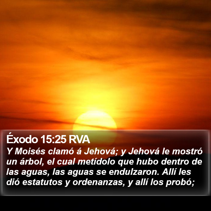 Éxodo 15:25 RVA Bible Study