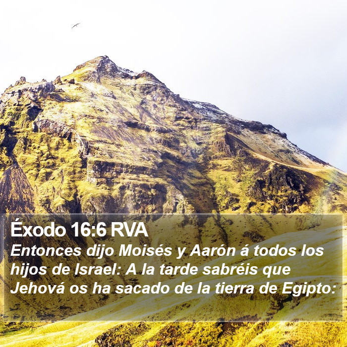 Éxodo 16:6 RVA Bible Study
