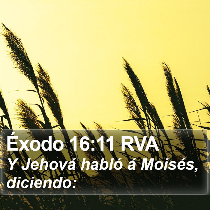 Éxodo 16:11 RVA Bible Study