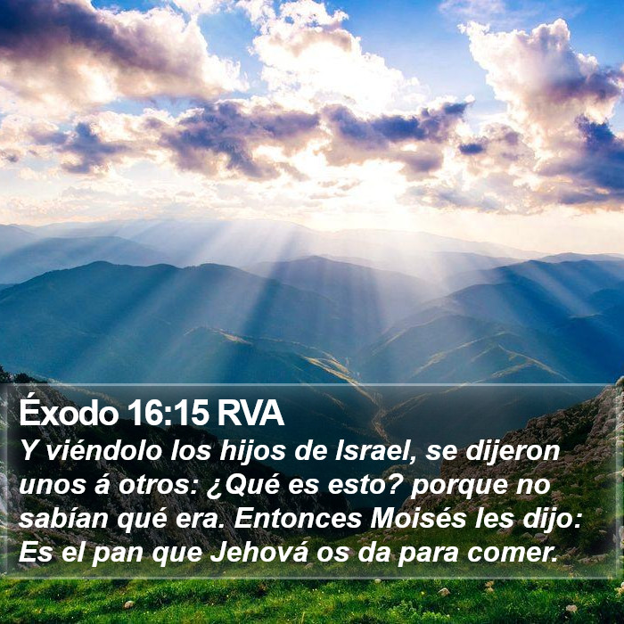 Éxodo 16:15 RVA Bible Study