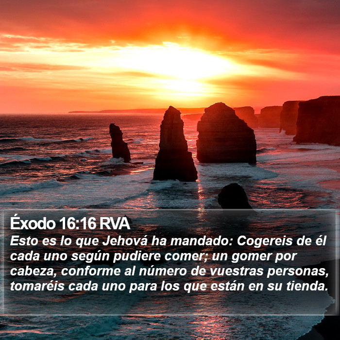Éxodo 16:16 RVA Bible Study