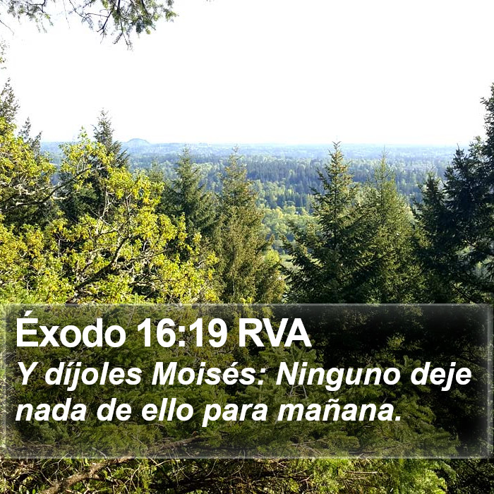 Éxodo 16:19 RVA Bible Study