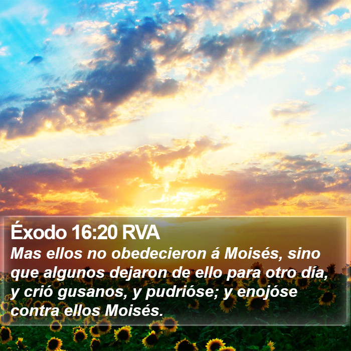 Éxodo 16:20 RVA Bible Study