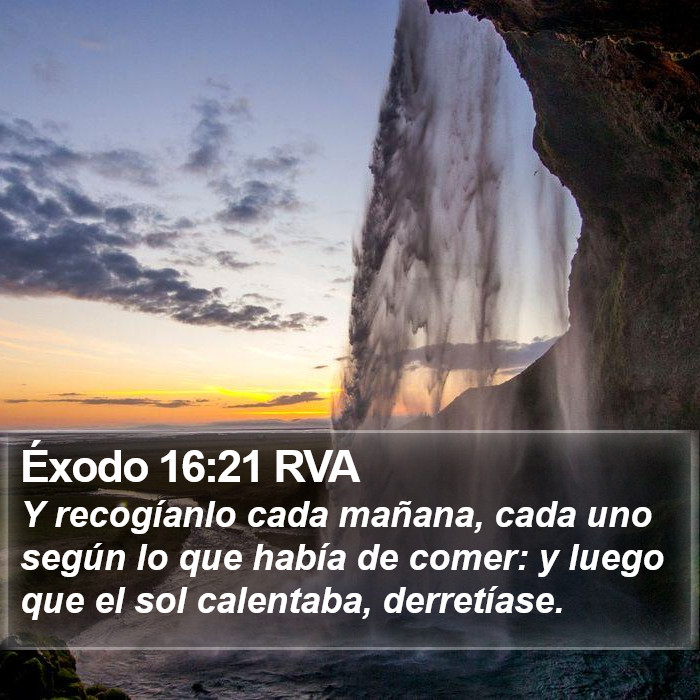 Éxodo 16:21 RVA Bible Study