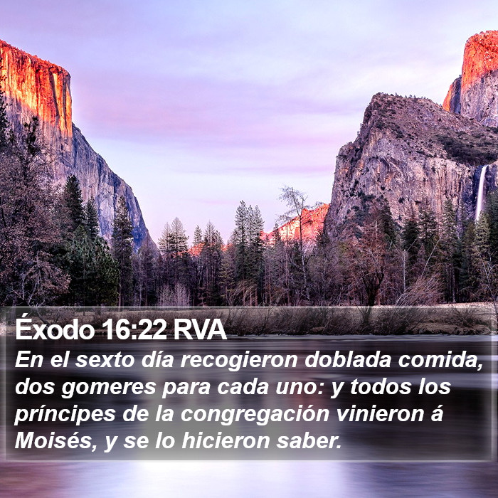 Éxodo 16:22 RVA Bible Study