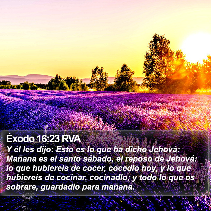 Éxodo 16:23 RVA Bible Study
