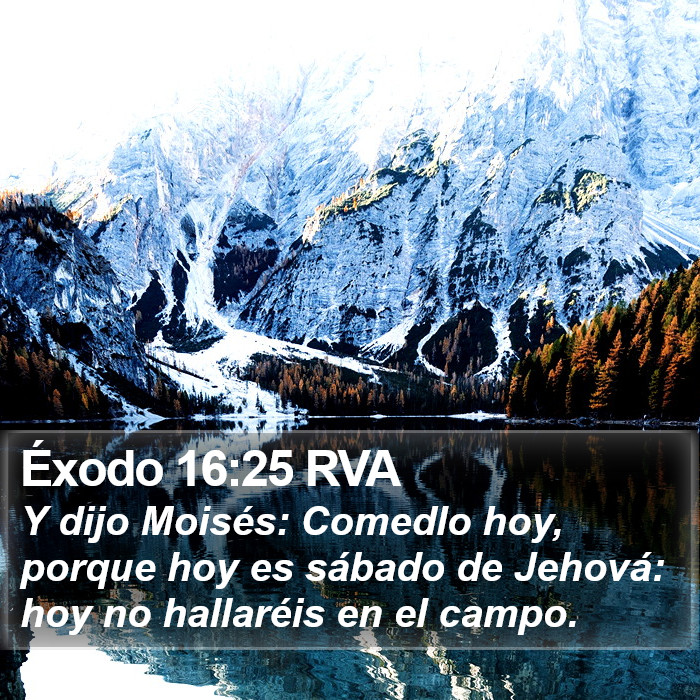 Éxodo 16:25 RVA Bible Study