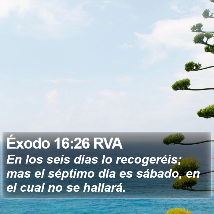 Éxodo 16:26 RVA Bible Study
