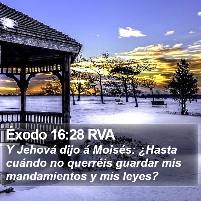 Éxodo 16:28 RVA Bible Study