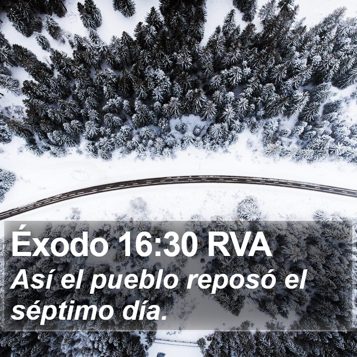 Éxodo 16:30 RVA Bible Study