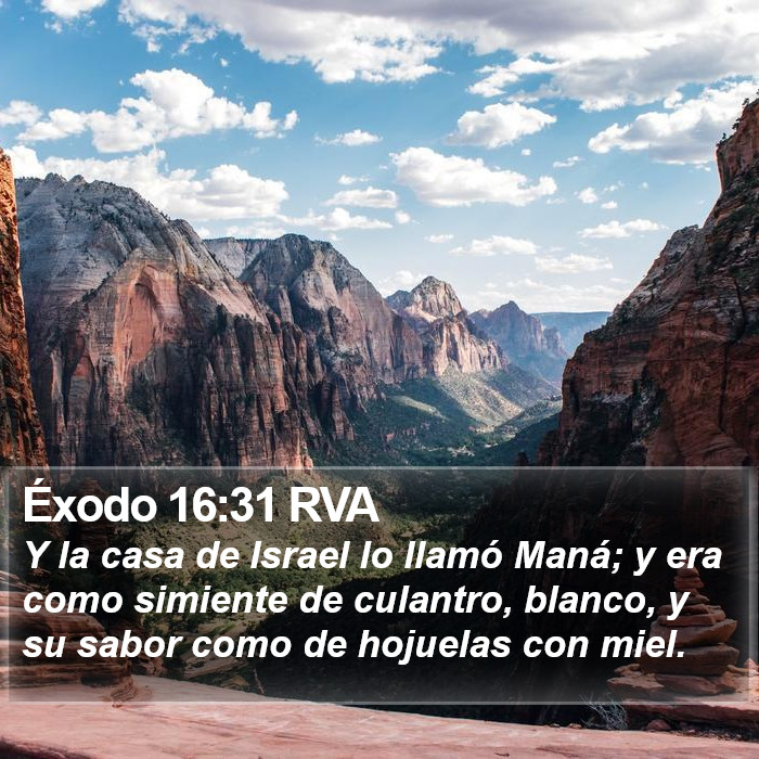 Éxodo 16:31 RVA Bible Study