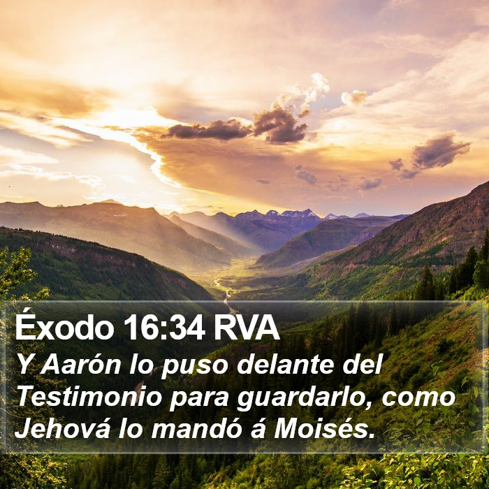 Éxodo 16:34 RVA Bible Study
