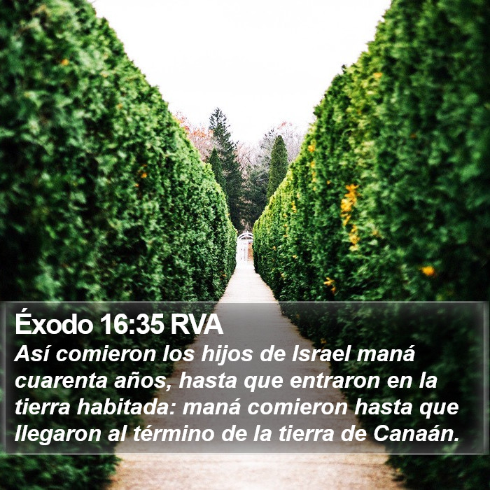 Éxodo 16:35 RVA Bible Study