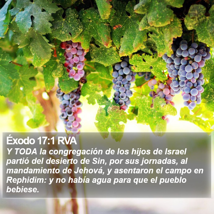 Éxodo 17:1 RVA Bible Study