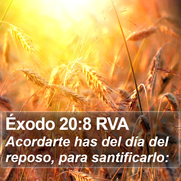 Éxodo 20:8 RVA Bible Study