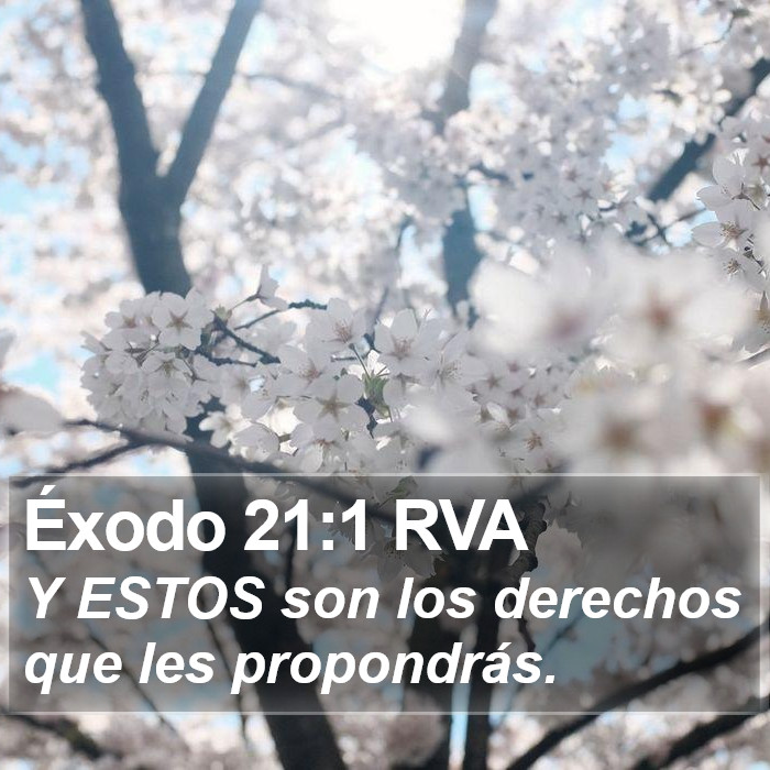 Éxodo 21:1 RVA Bible Study