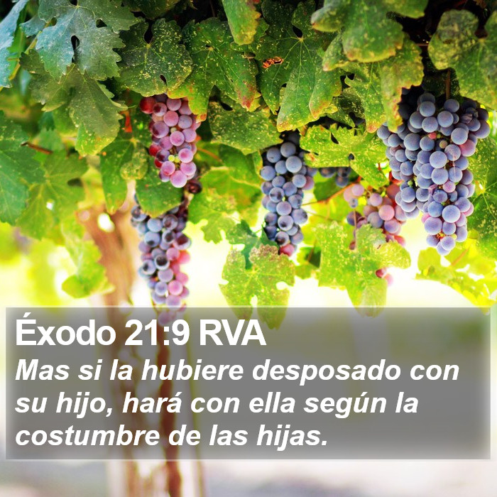 Éxodo 21:9 RVA Bible Study