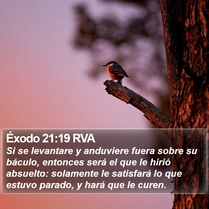 Éxodo 21:19 RVA Bible Study