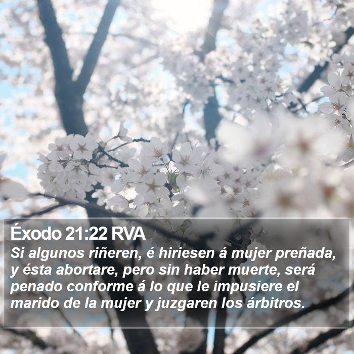 Éxodo 21:22 RVA Bible Study