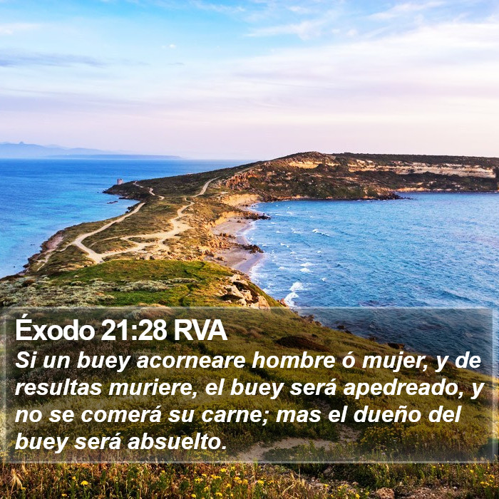 Éxodo 21:28 RVA Bible Study