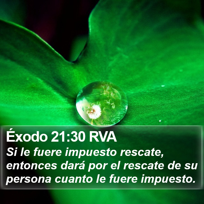 Éxodo 21:30 RVA Bible Study