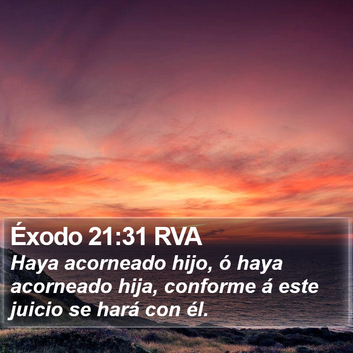 Éxodo 21:31 RVA Bible Study