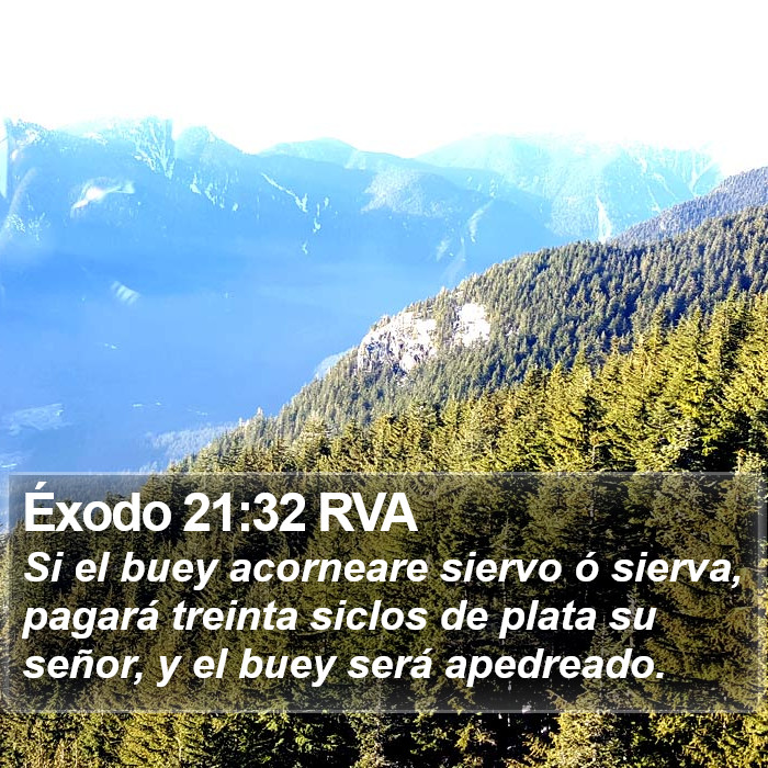 Éxodo 21:32 RVA Bible Study