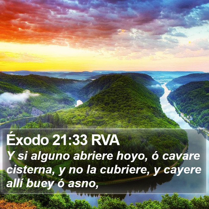 Éxodo 21:33 RVA Bible Study