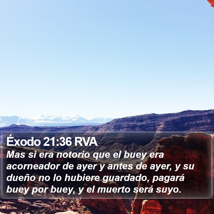 Éxodo 21:36 RVA Bible Study