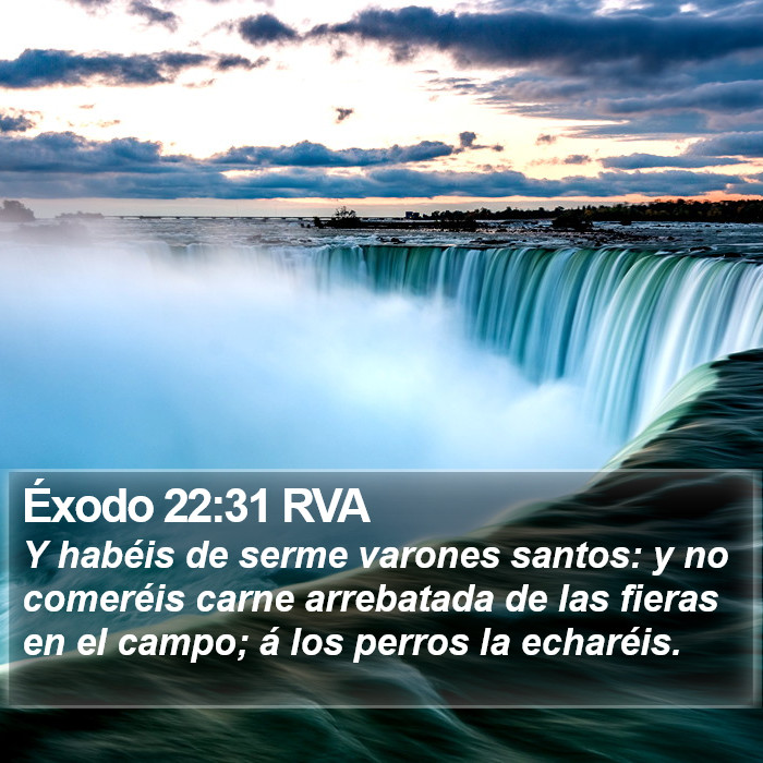 Éxodo 22:31 RVA Bible Study