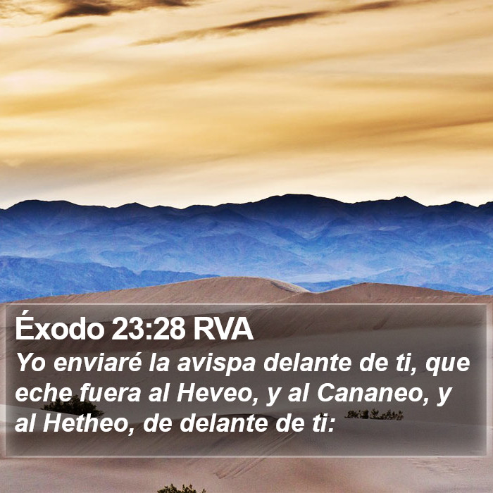 Éxodo 23:28 RVA Bible Study