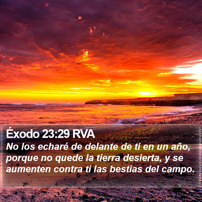 Éxodo 23:29 RVA Bible Study