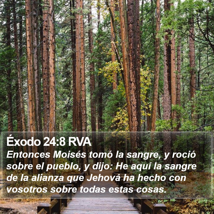 Éxodo 24:8 RVA Bible Study