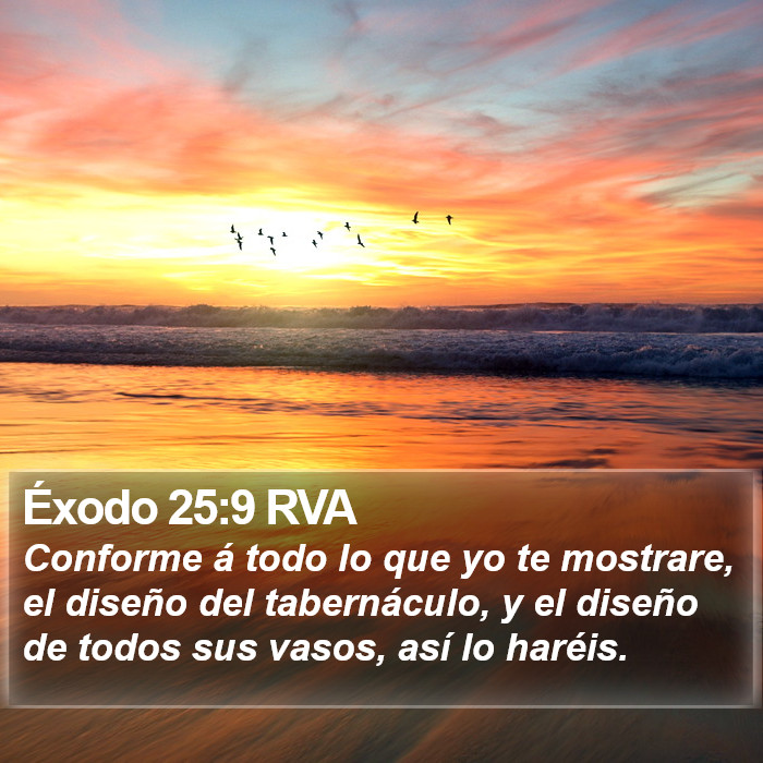 Éxodo 25:9 RVA Bible Study