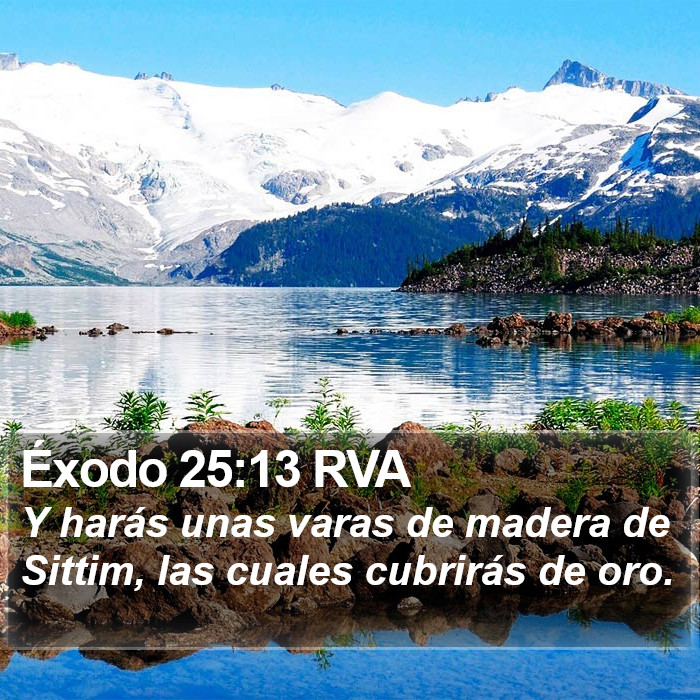 Éxodo 25:13 RVA Bible Study