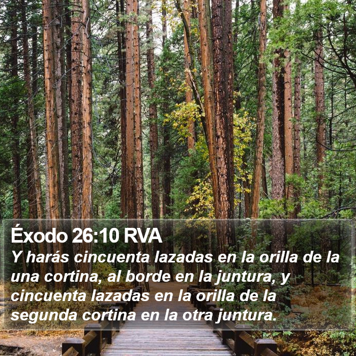 Éxodo 26:10 RVA Bible Study