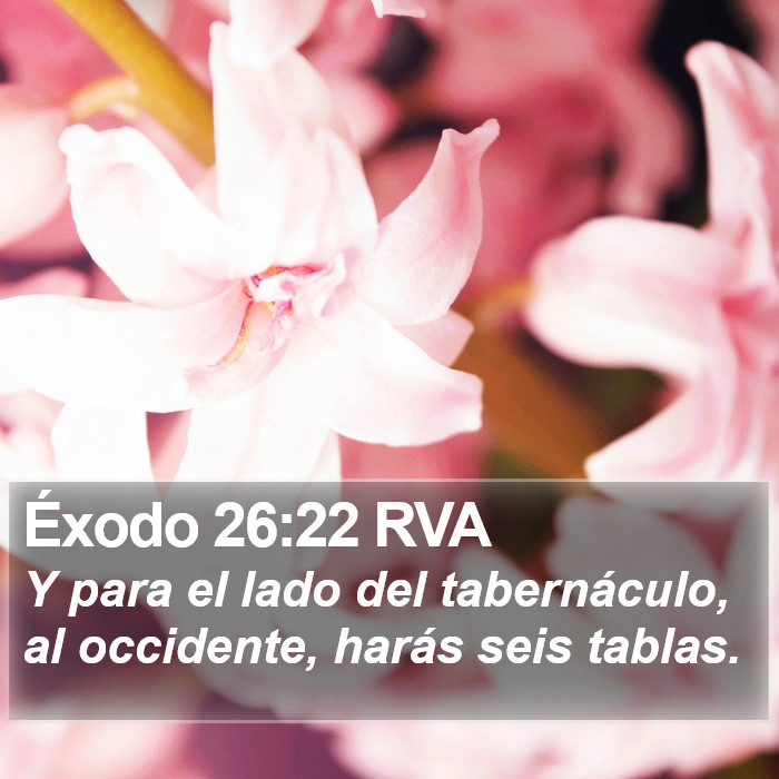 Éxodo 26:22 RVA Bible Study