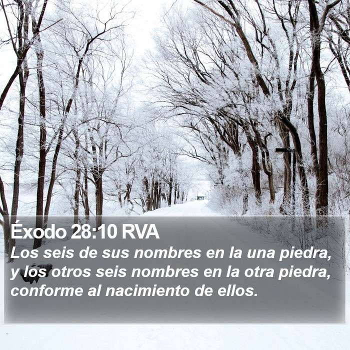 Éxodo 28:10 RVA Bible Study