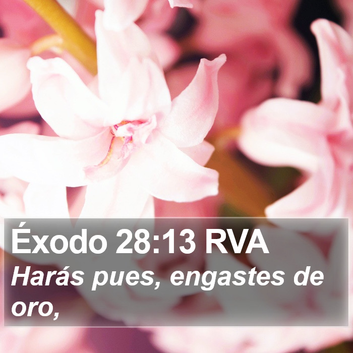 Éxodo 28:13 RVA Bible Study
