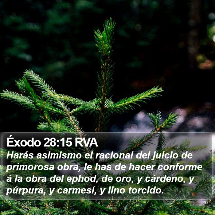 Éxodo 28:15 RVA Bible Study
