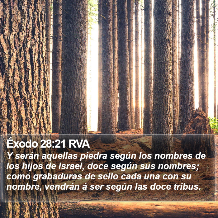 Éxodo 28:21 RVA Bible Study