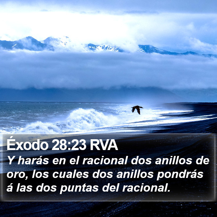 Éxodo 28:23 RVA Bible Study