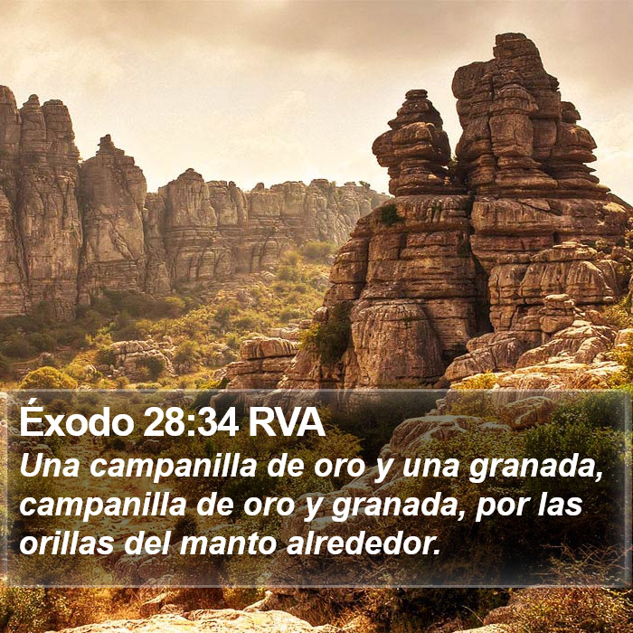 Éxodo 28:34 RVA Bible Study