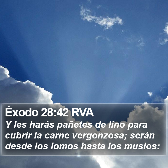 Éxodo 28:42 RVA Bible Study