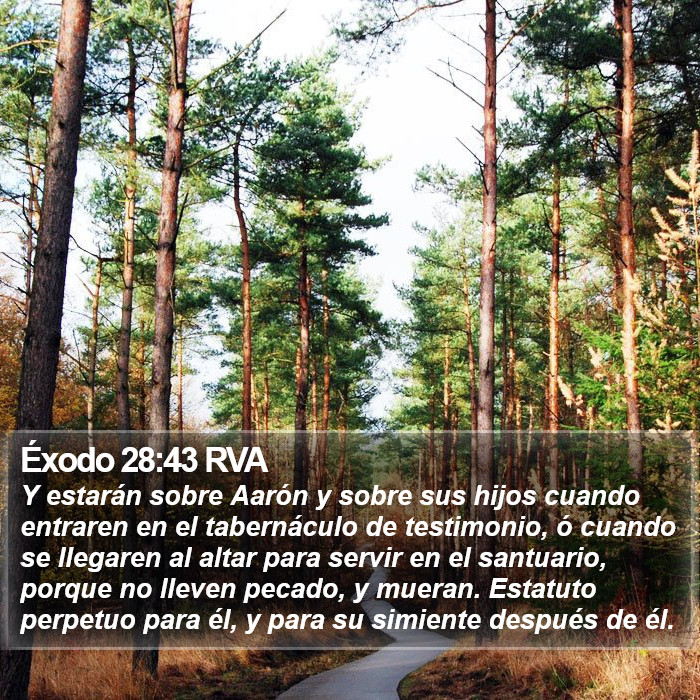 Éxodo 28:43 RVA Bible Study